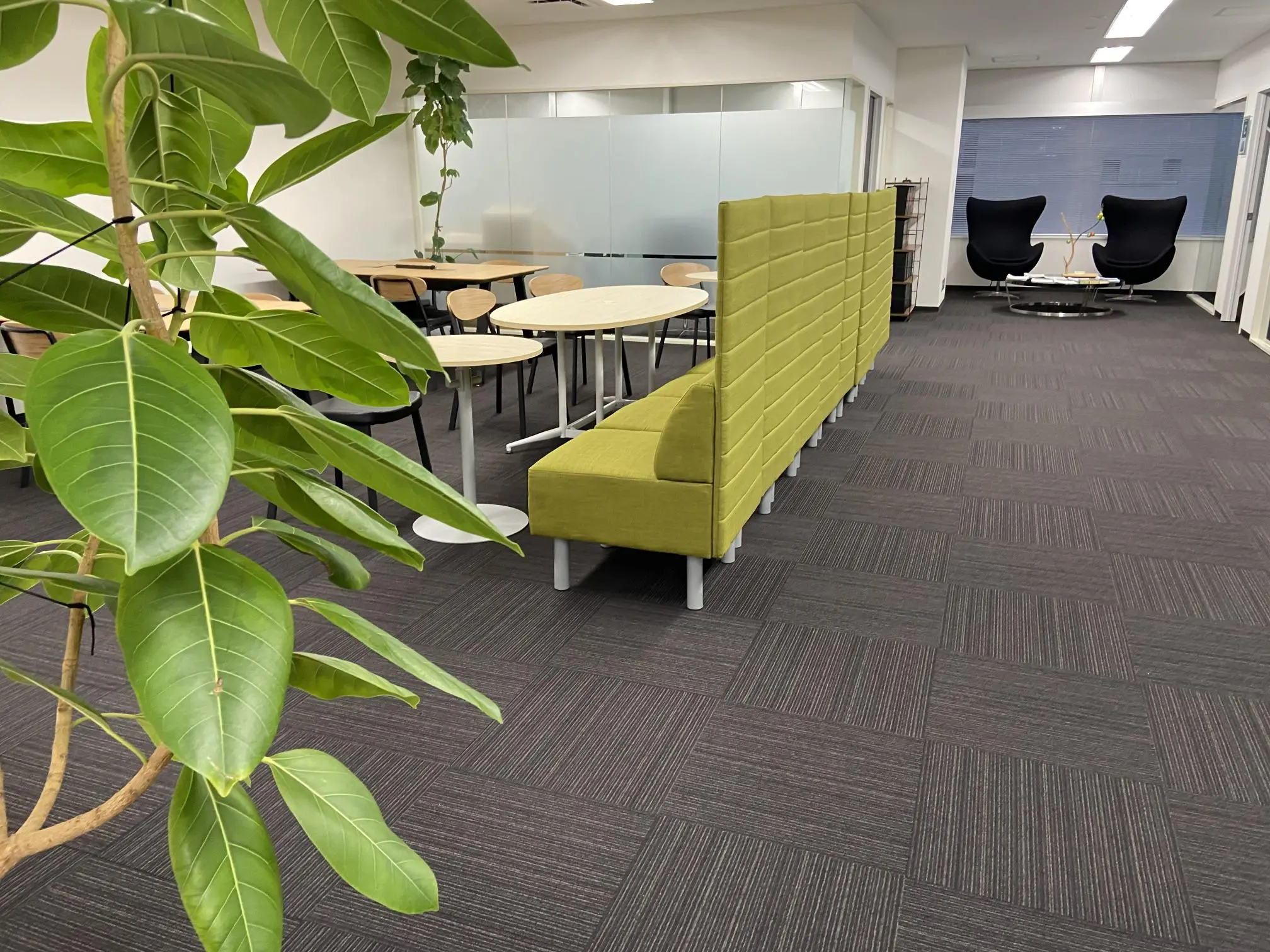 弁理士法人新樹グローバル・アイピー(弁理士・特許技術者の求人)の写真3枚目