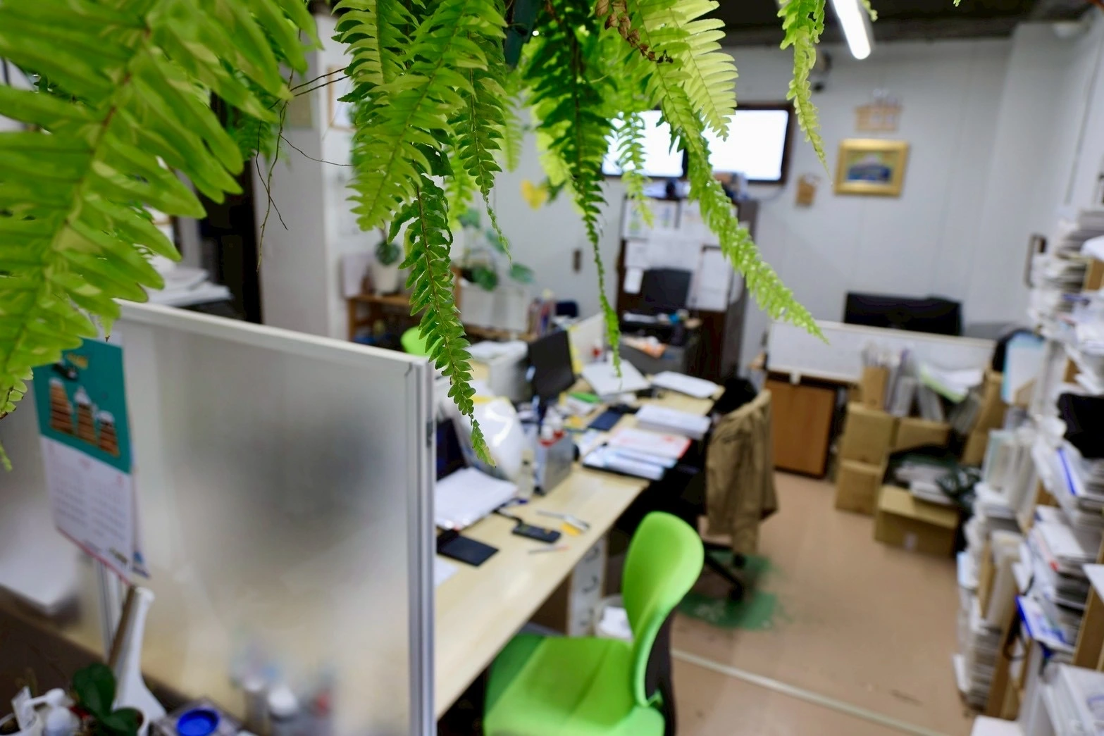 土地家屋調査士法人 川村登記測量事務所(土地家屋調査士補助者の求人)の写真4枚目