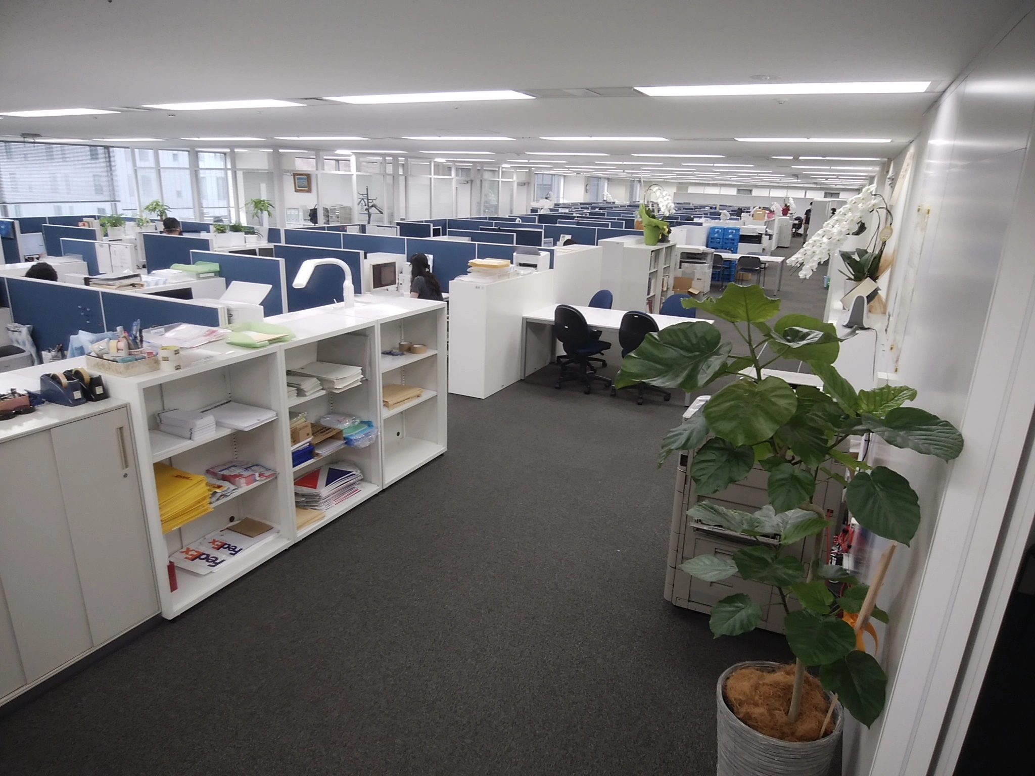 弁理士法人有古特許事務所(弁理士・特許技術者の求人)の写真4枚目