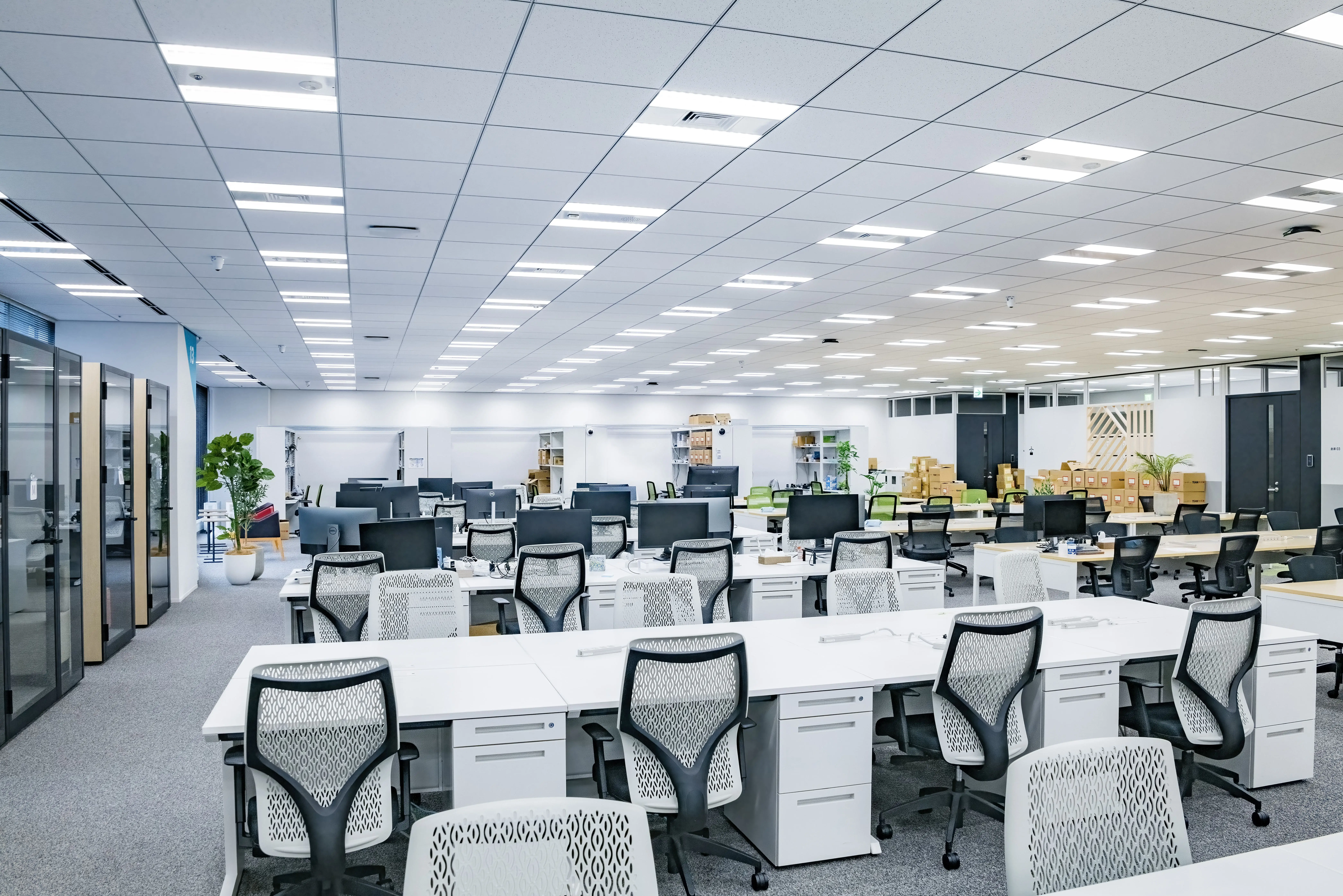 セーフィー株式会社(知財部の求人)の写真2枚目