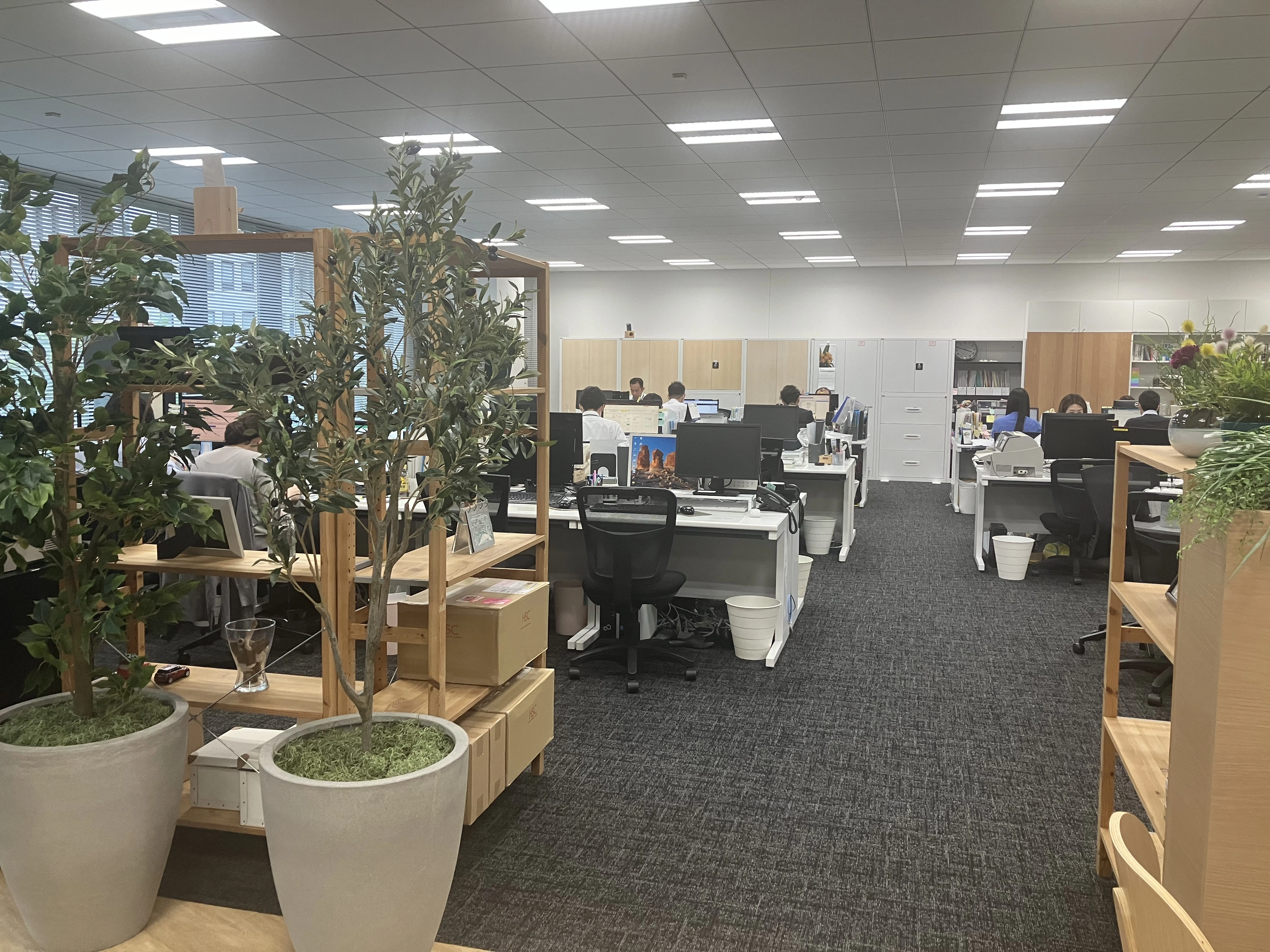 司法書士法人アイビー(司法書士補助者の求人)の写真3枚目