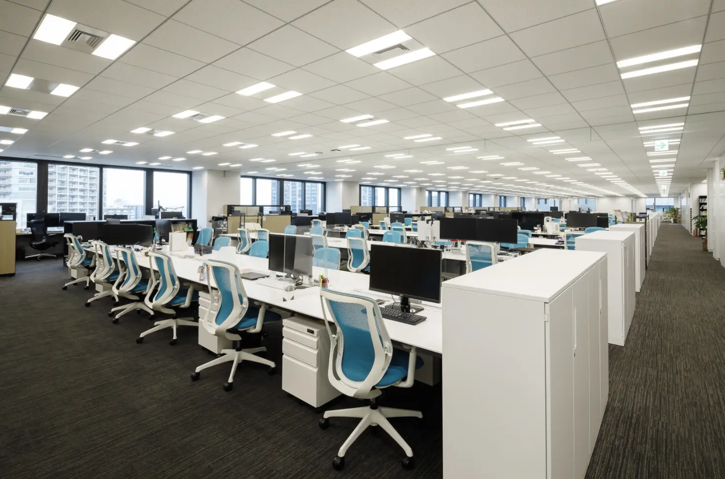 法律事務所ZeLoの求人