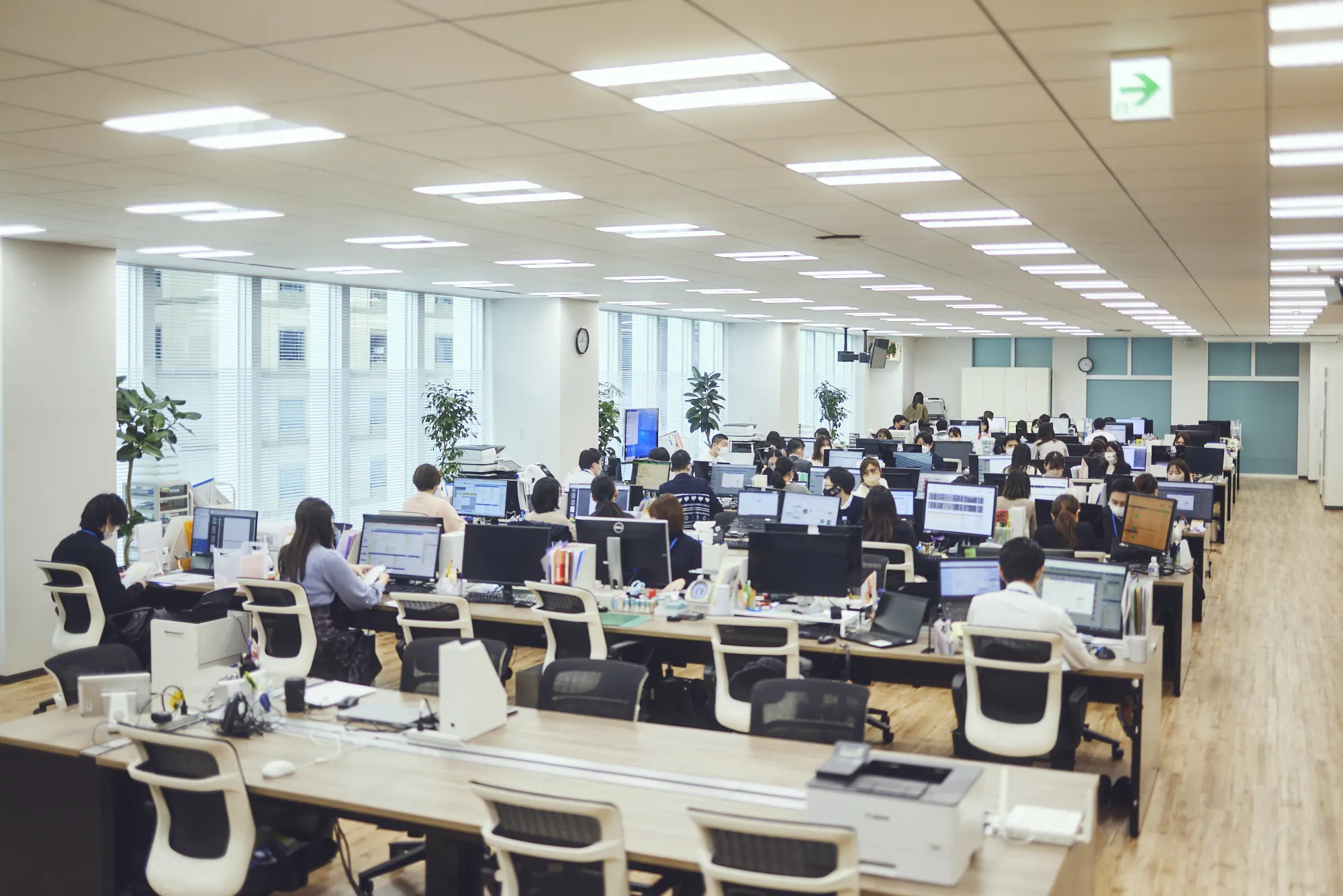 土地家屋調査士法人みつ葉グループ(土地家屋調査士・土地家屋調査士補助・測量士・測量士補・測量助手の求人)の写真1枚目