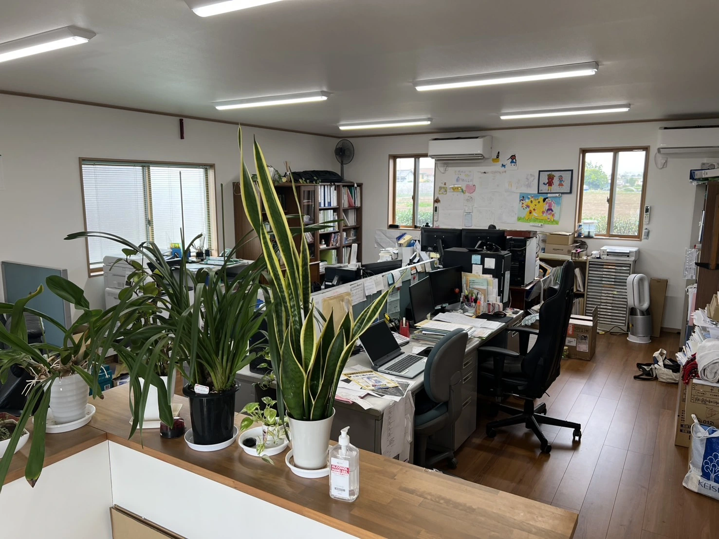 合同事務所 打越登記測量事務所(土地家屋調査士・土地家屋調査士補助・測量士・測量士補・測量助手の求人)の写真1枚目